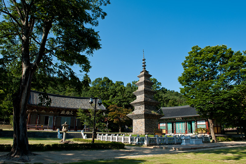 송림사
